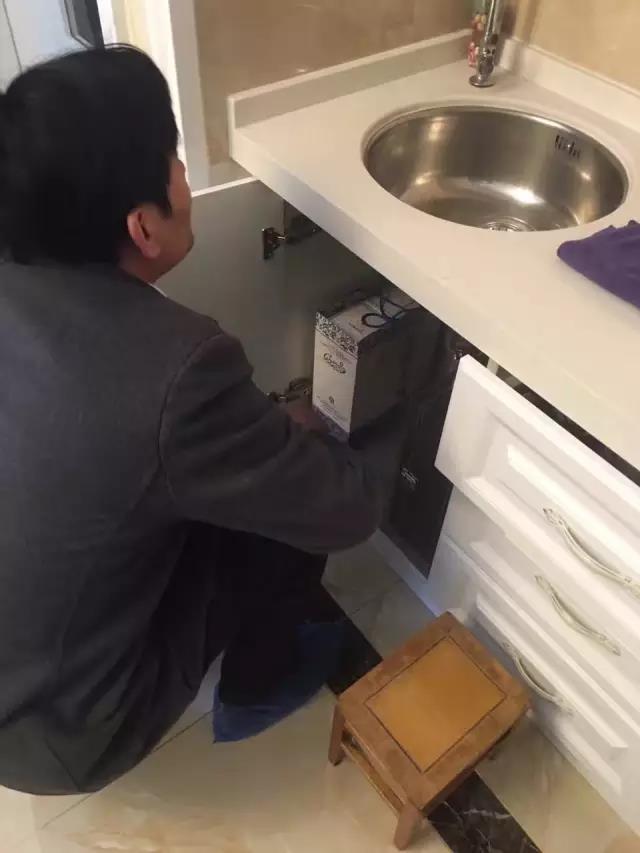 無(wú)錫紫蘋(píng)果裝飾