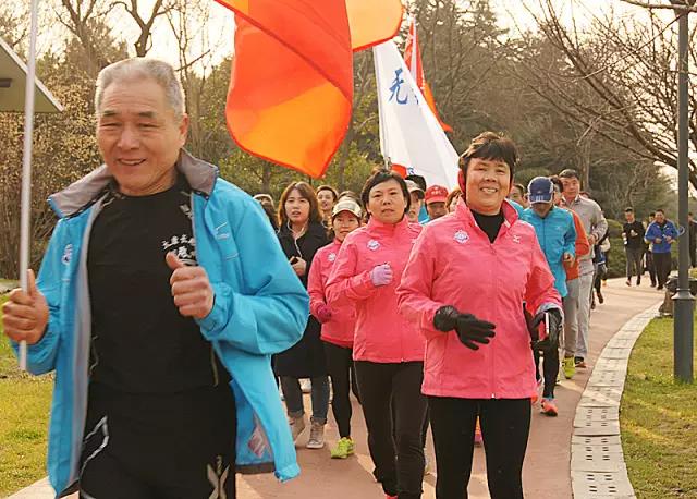 無錫紫蘋果裝飾