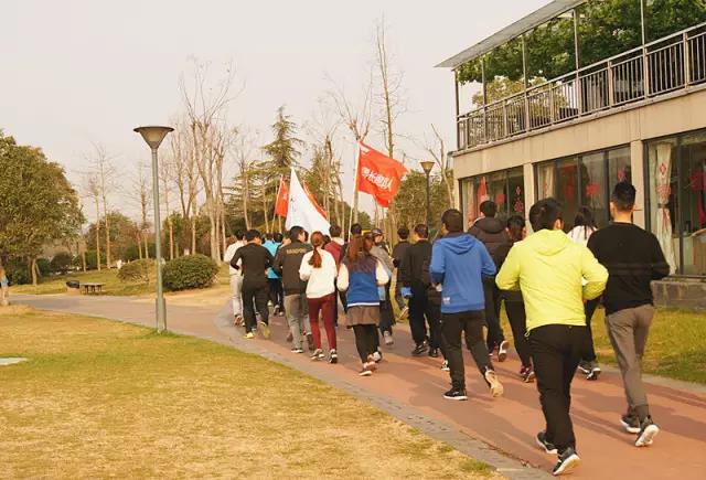 無錫紫蘋果裝飾