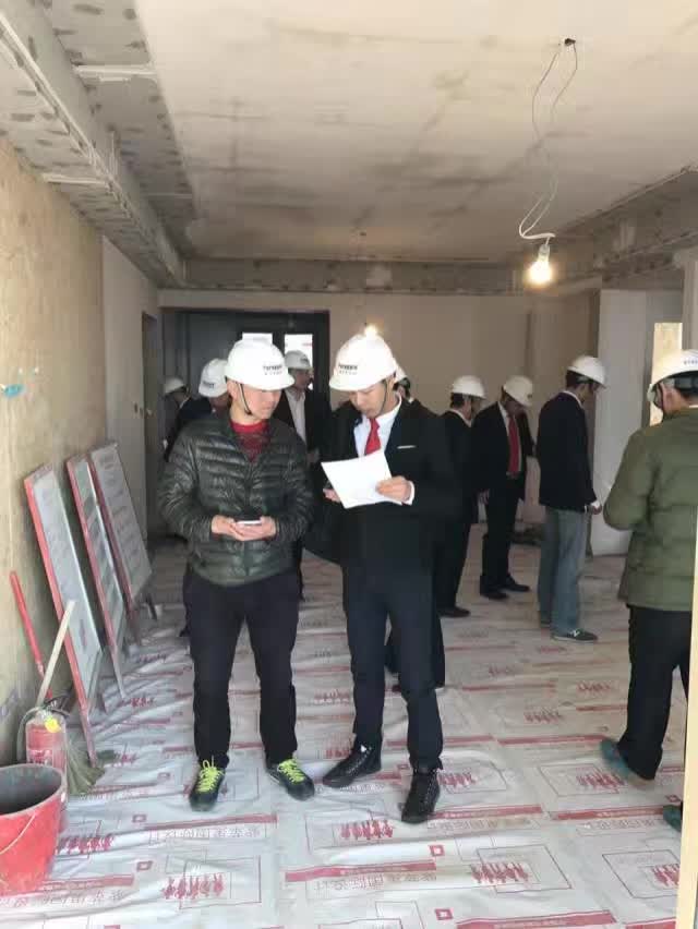 無錫紫蘋果裝飾