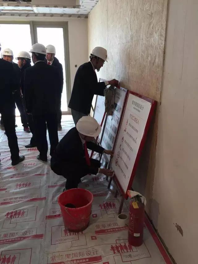 無錫紫蘋果裝飾