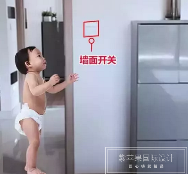 無(wú)錫紫蘋(píng)果裝飾