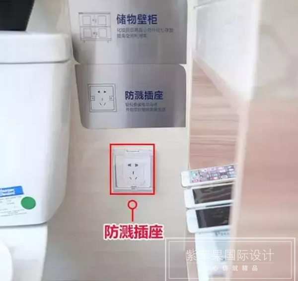 無(wú)錫紫蘋(píng)果裝飾