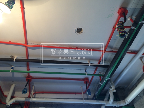 無錫紫蘋果裝飾