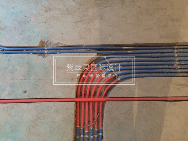 無錫紫蘋果裝飾