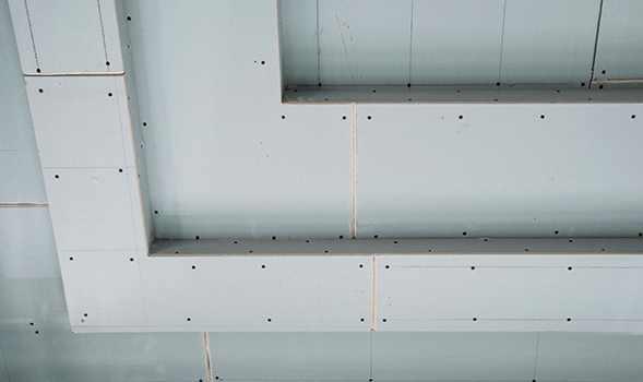 無錫紫蘋果裝飾