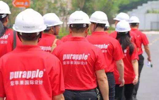 無(wú)錫紫蘋(píng)果裝飾