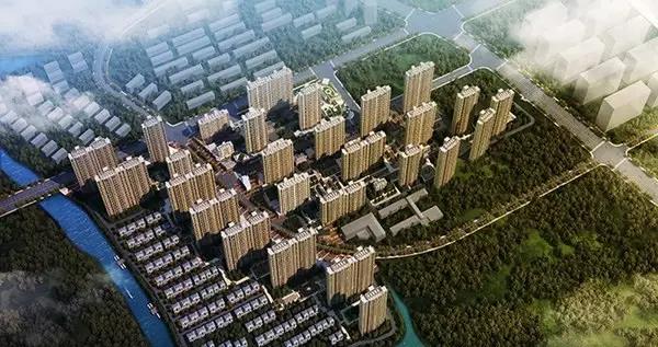 無錫紫蘋果裝飾