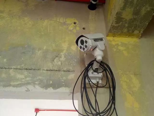 無錫紫蘋果裝飾