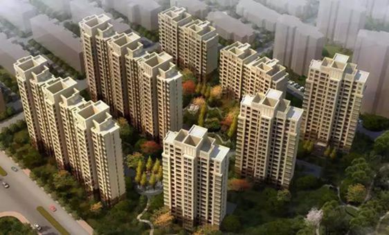 無錫紫蘋果裝飾