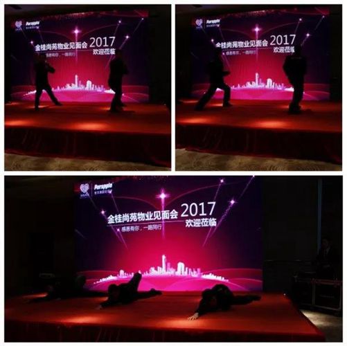 無錫紫蘋果裝飾