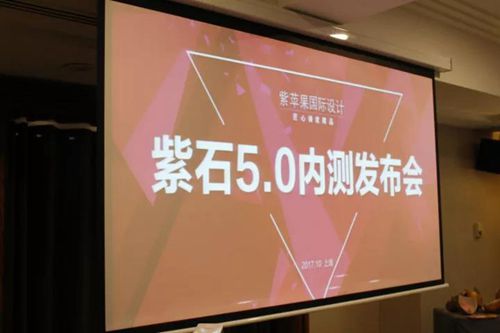 無錫紫蘋果裝飾