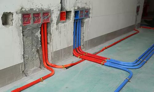 無錫紫蘋果裝飾